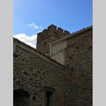 Le Petit Ormeau attenant à la Tour du Portail Neuf Laure-Minervois Exterior foto